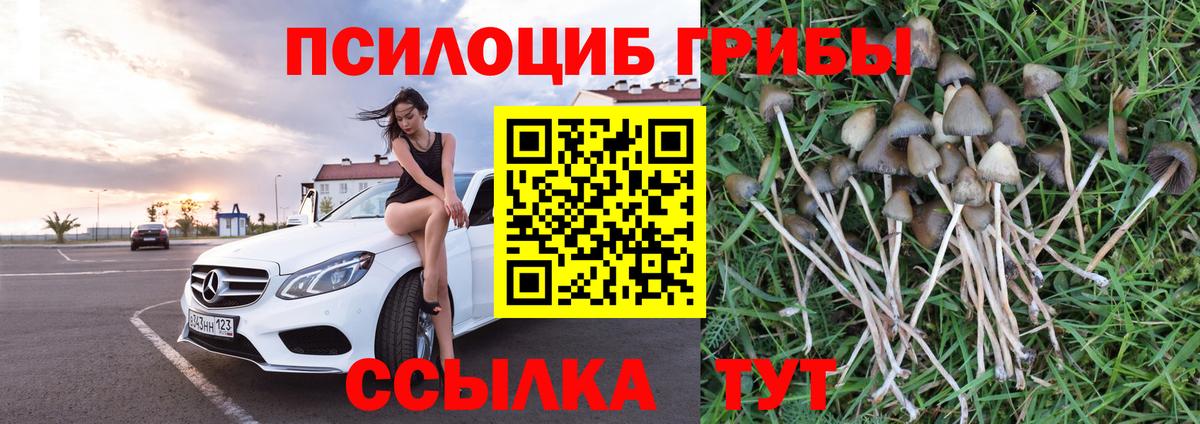 Галлюциногенные грибы Magic Shrooms  Псилоцибиновые грибы мухоморы  Вход с VPN  Нарткала 