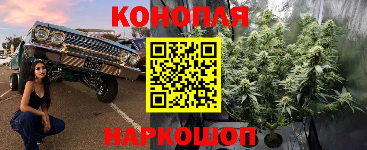 Метадон Нарткала